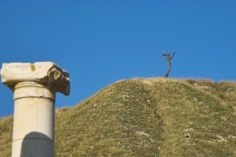 Jézus Krisztus szupersztár fája, amire Judás felakasztotta magát