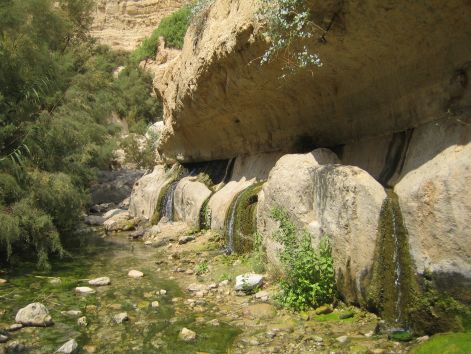 Wadi_Arugot